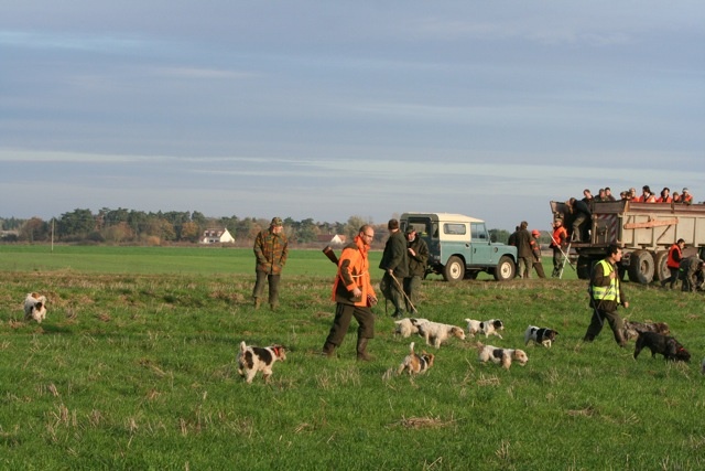 chasse